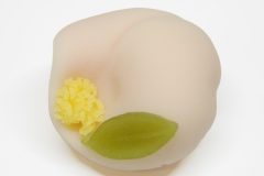 11山茶花